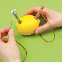 Hände bauen eine Zitronenbatterie. Ein Experiment für die Grundschule, um Strom zu erzeugen.