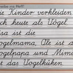 Übung zum Merkspruch: "Die Kinder verkleiden sich heute als Vögel." Geschwungene Buchstaben üben.