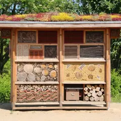 Ein großes Insektenhotel, das Kinder selber bauen können, mit vielen Fächern für verschiedene Insekten. Das Dach ist begrünt.
