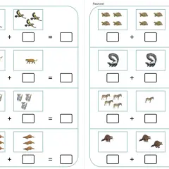 Arbeitsblatt mit Tierbildern zum Üben von Plusaufgaben bis 10. Vögel, Leoparden, Koalas, Schildkröten, Skunks, Zebras, Biber und Waschbären.