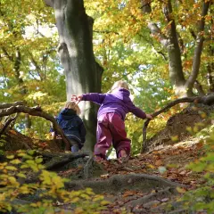 Zwei Kinder erkunden im Herbst einen Wald. Ein Junge im blauen Anzug und ein Mädchen im lila Pullover klettern über Wurzeln. Ein echter Wald Kindergarten!