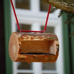 Selbstgebaute Vogelfutterstation aus einem Baumstamm, mit roter Schnur aufgehängt. Ein tolles Projekt zum vogelfutterstation selber bauen mit kindern.