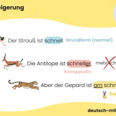 Ein Strauß ist schnell, eine Antilope ist schneller, aber der Gepard ist am schnellsten. Die Steigerung von Adjektiven wie "schnell" wird hier erklärt.