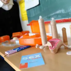 Unterrichtsmaterialien für die sexualkunde klasse 4: Modelle von Geschlechtsorganen, Kondome und ein Heft mit Tipps.