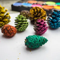 Bunte Tannenzapfen liegen auf weißem Untergrund, bereit für Bastelprojekte. Ein Kasten mit Wasserfarben im Hintergrund deutet auf kreatives Basteln mit Tannenzapfen hin.