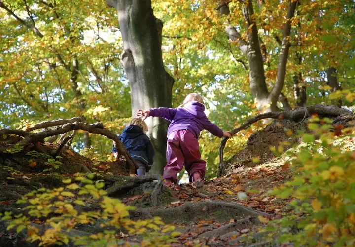 Zwei Kinder erkunden im Herbst einen Wald. Ein Junge im blauen Anzug und ein Mädchen im lila Pullover klettern über Wurzeln. Ein echter Wald Kindergarten!