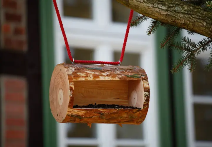 Selbstgebaute Vogelfutterstation aus einem Baumstamm, mit roter Schnur aufgehängt. Ein tolles Projekt zum vogelfutterstation selber bauen mit kindern.