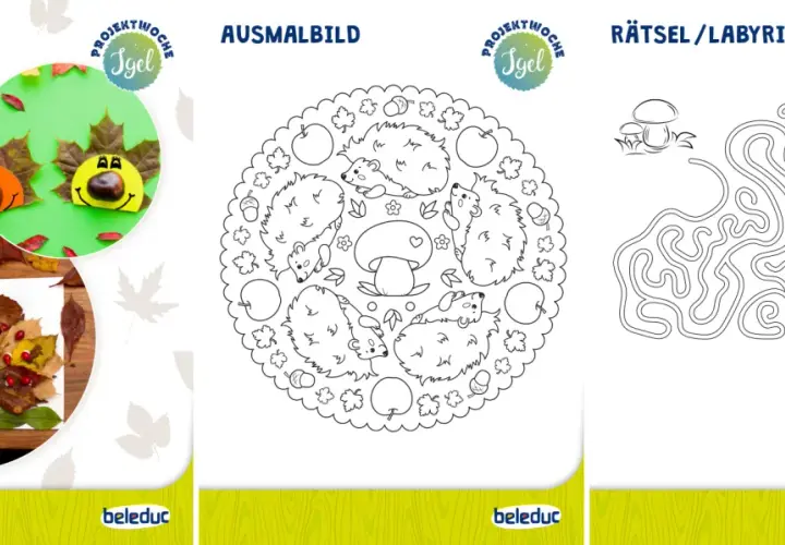 Bastelideen mit Igeln: Kinder basteln Igelbilder aus Naturmaterialien, malen Igel und lösen ein Igel-Labyrinth.
