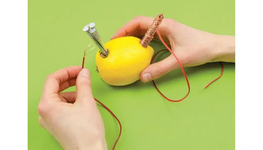 Hände bauen eine Zitronenbatterie. Ein Experiment für die Grundschule, um Strom zu erzeugen.