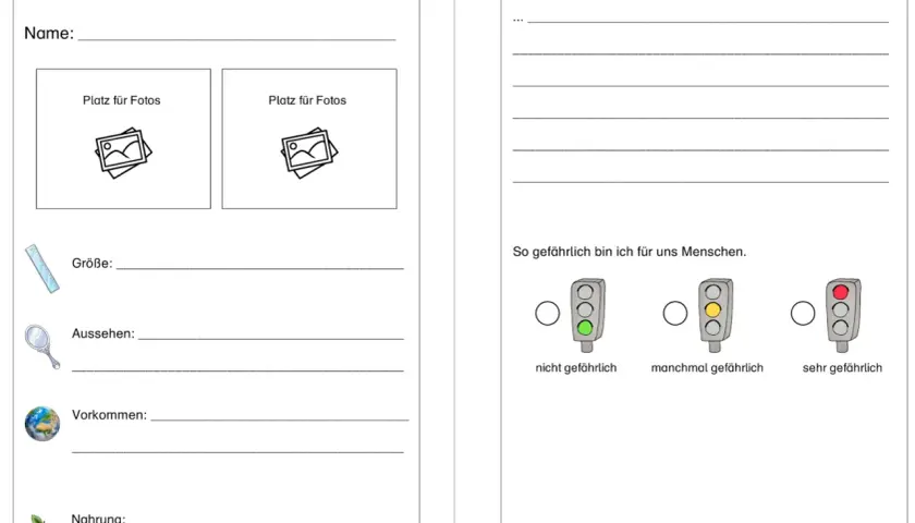 Steckbrief Vorlage Tier: Felder für Name, Fotos, Größe, Aussehen, Vorkommen, Nahrung und Gefährlichkeit.