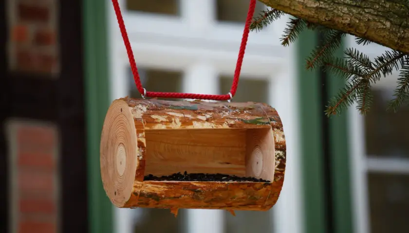 Selbstgebaute Vogelfutterstation aus einem Baumstamm, mit roter Schnur aufgehängt. Ein tolles Projekt zum vogelfutterstation selber bauen mit kindern.