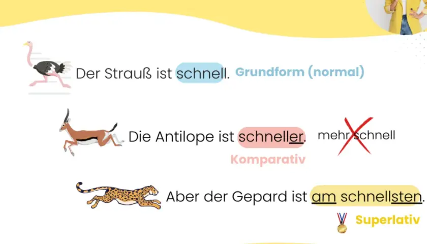 Ein Strauß ist schnell, eine Antilope ist schneller, aber der Gepard ist am schnellsten. Die Steigerung von Adjektiven wie "schnell" wird hier erklärt.