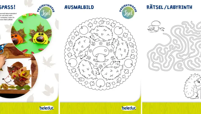 Bastelideen mit Igeln: Kinder basteln Igelbilder aus Naturmaterialien, malen Igel und lösen ein Igel-Labyrinth.