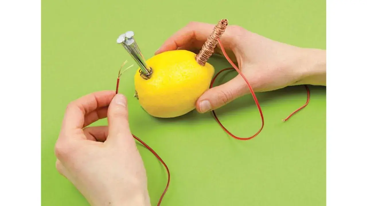 Hände bauen eine Zitronenbatterie. Ein Experiment für die Grundschule, um Strom zu erzeugen.