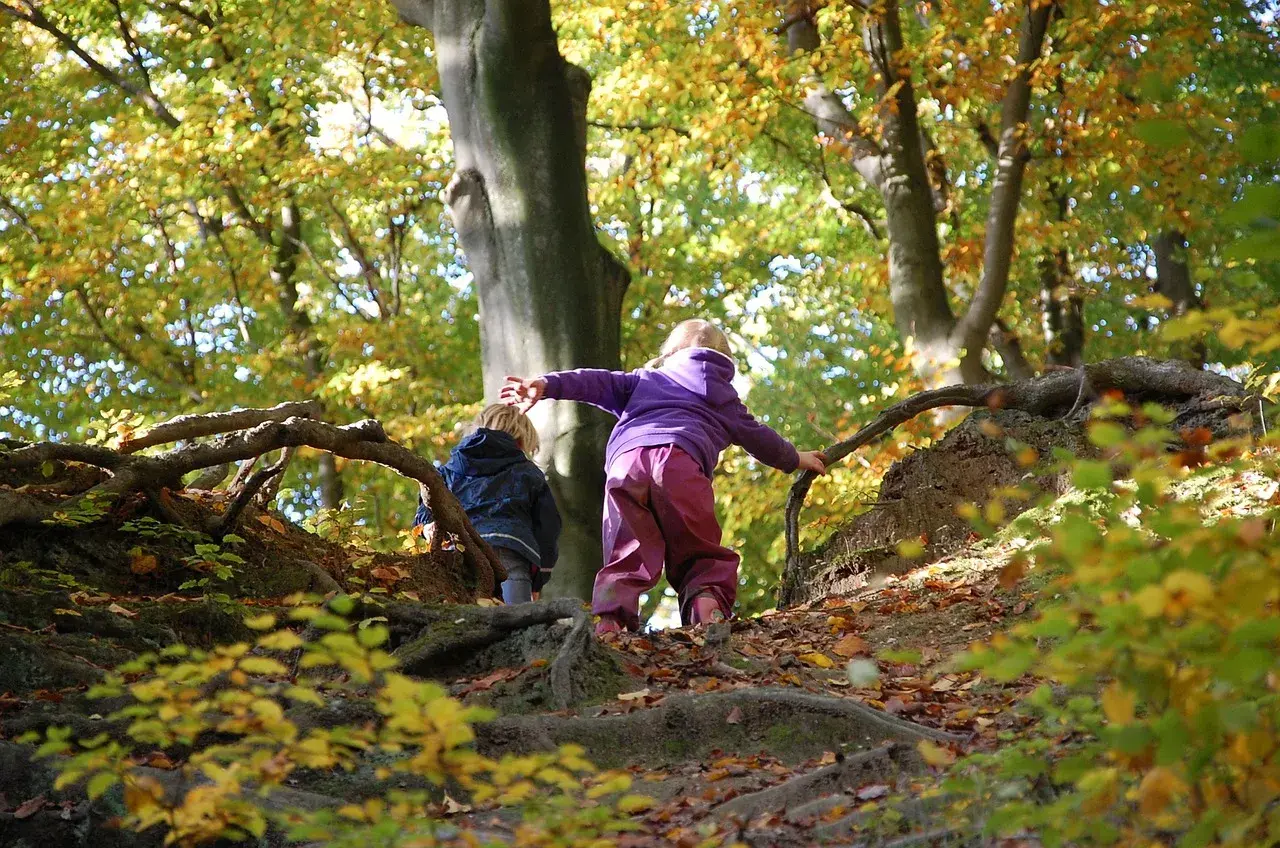 Zwei Kinder erkunden im Herbst einen Wald. Ein Junge im blauen Anzug und ein Mädchen im lila Pullover klettern über Wurzeln. Ein echter Wald Kindergarten!