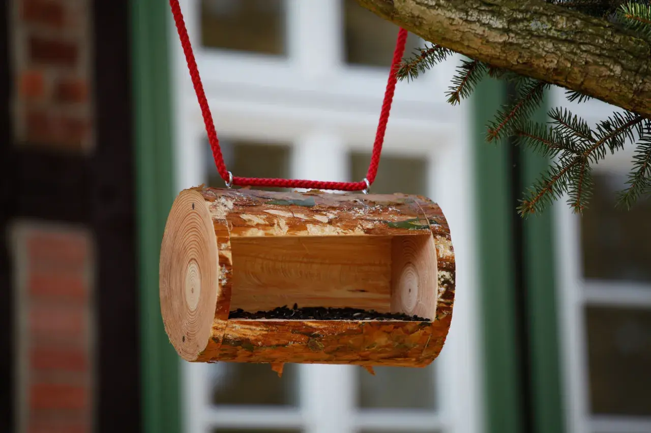 Selbstgebaute Vogelfutterstation aus einem Baumstamm, mit roter Schnur aufgehängt. Ein tolles Projekt zum vogelfutterstation selber bauen mit kindern.