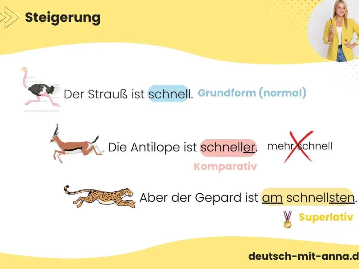 Ein Strauß ist schnell, eine Antilope ist schneller, aber der Gepard ist am schnellsten. Die Steigerung von Adjektiven wie "schnell" wird hier erklärt.