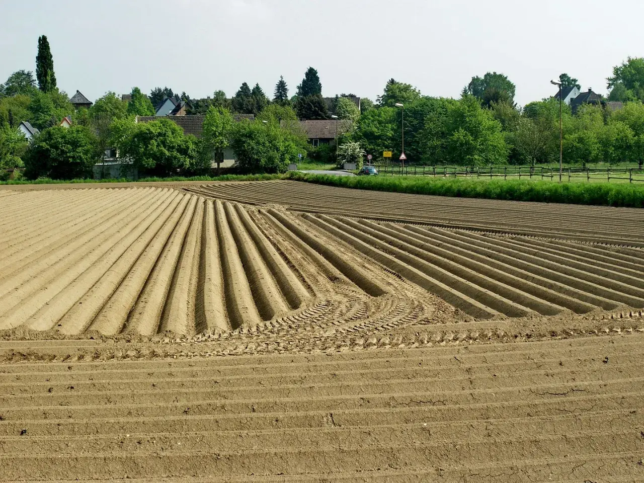 Feld mit frisch gepflügten Furchen, bereit für die Kartoffelernte. Die Grundschule des Landes, wo die Kartoffel wächst.