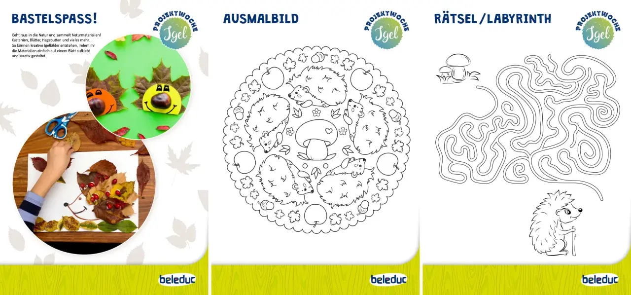 Bastelideen mit Igeln: Kinder basteln Igelbilder aus Naturmaterialien, malen Igel und lösen ein Igel-Labyrinth.