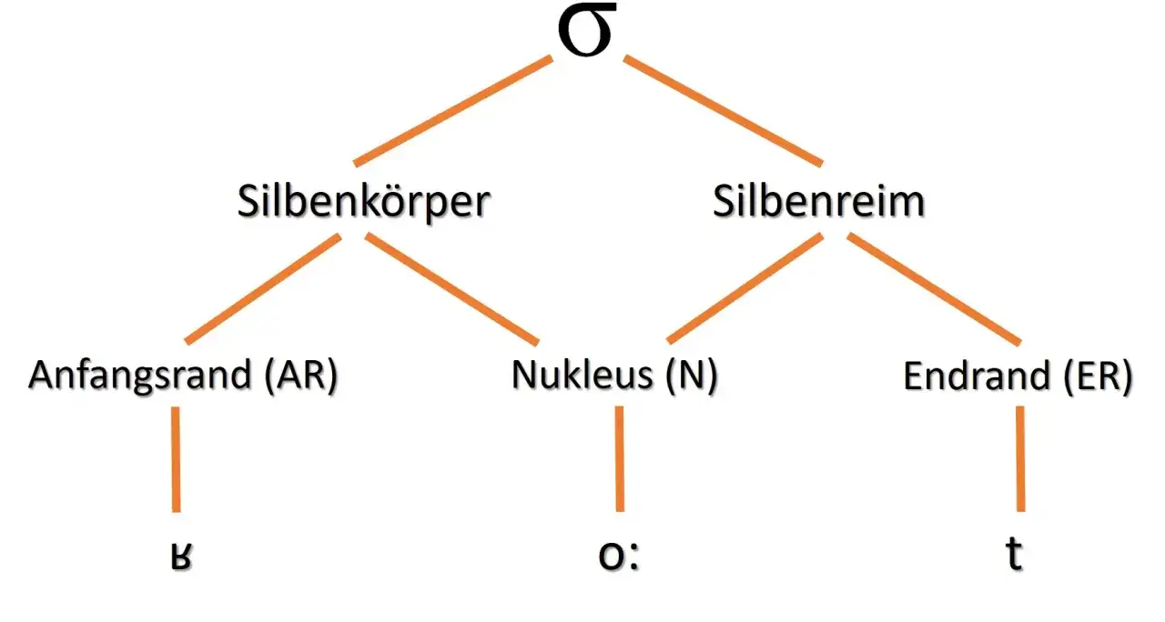 Baumdiagramm der Silbenstruktur: &sigma; zerf&auml;llt in Silbenk&ouml;rper (Anfangsrand B) und Silbenreim (Nukleus O:, Endrand T).
