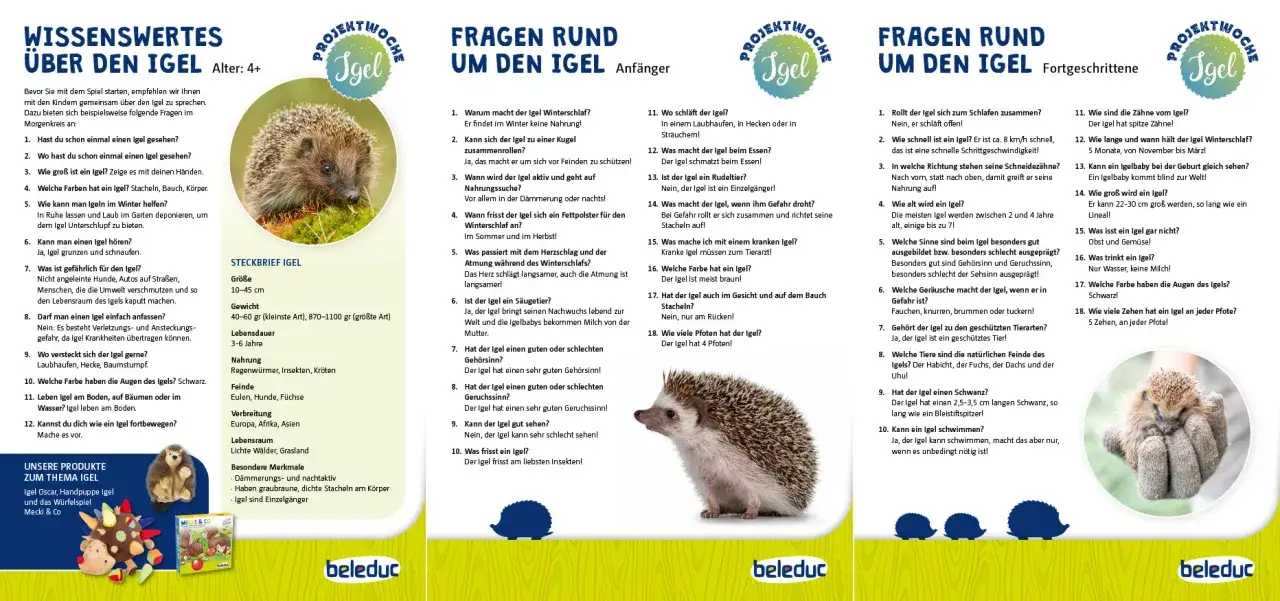 Ein Igelbaby im Igel Kindergarten lernt spielerisch &uuml;ber seine Artgenossen.