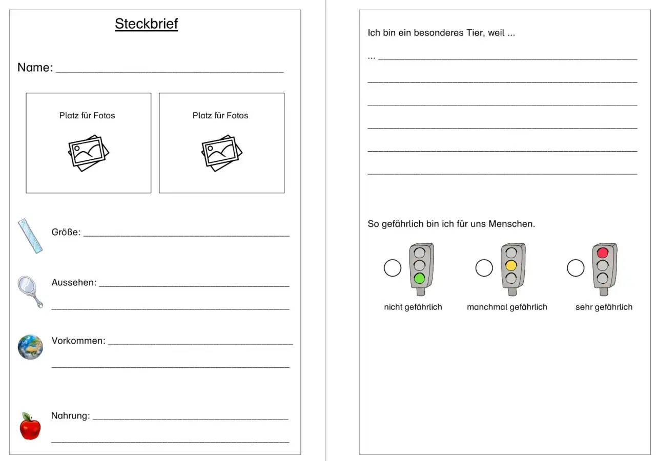 Steckbrief Vorlage Tier: Felder f&uuml;r Name, Fotos, Gr&ouml;&szlig;e, Aussehen, Vorkommen, Nahrung und Gef&auml;hrlichkeit.
