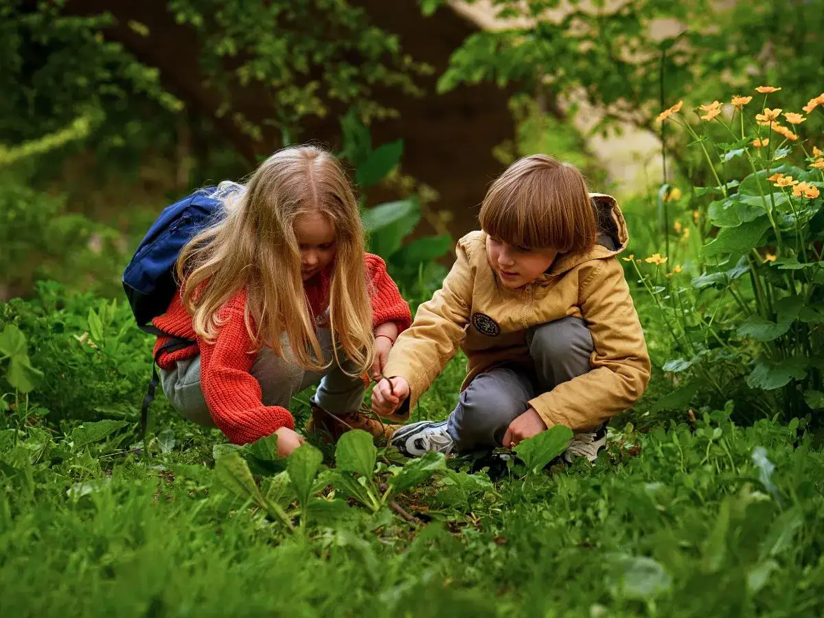 Zwei Kinder erkunden im Wald die Natur. Sie knien im Gras und untersuchen Pflanzen, wie bei einem Ausflug der Waldgrundschule.